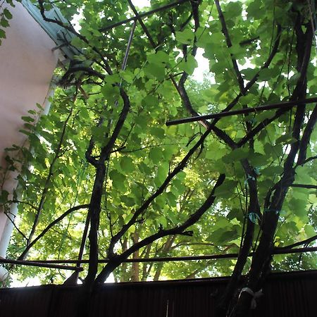 Hostel Old City Sololaki Tbilisi Ngoại thất bức ảnh
