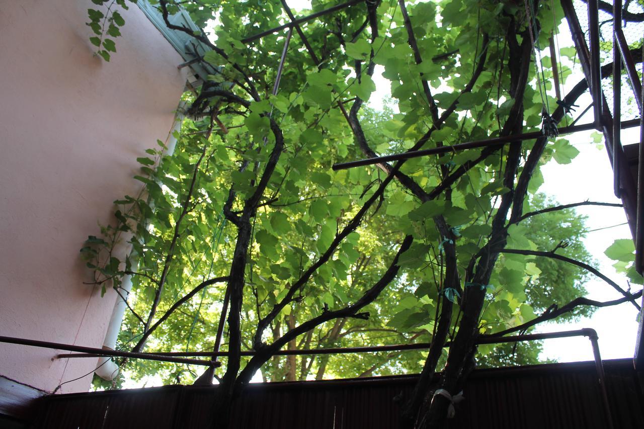 Hostel Old City Sololaki Tbilisi Ngoại thất bức ảnh